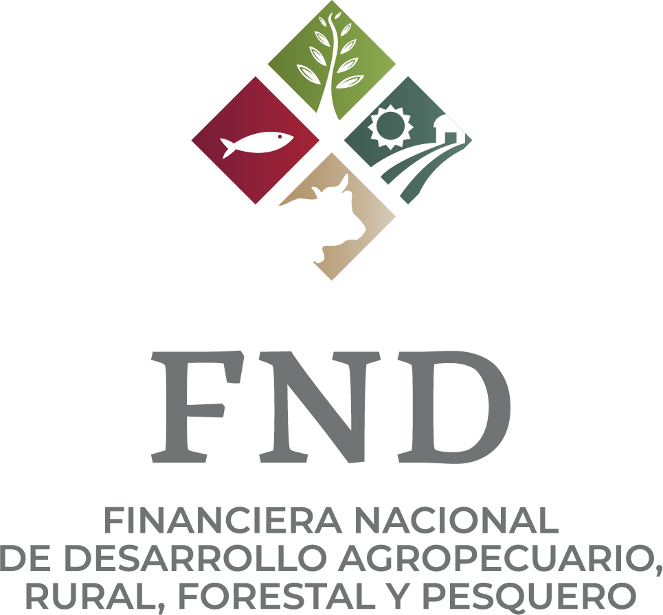 FND