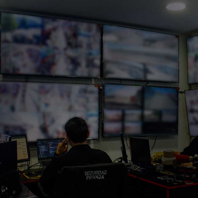 Seguridad Privada en los Bienes